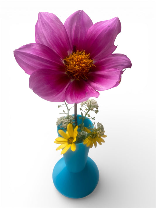 Show Bloom Vases™ (Bikini)